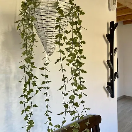 Casita De La Era - Terrace & Bbq - Rural Setting דירה
