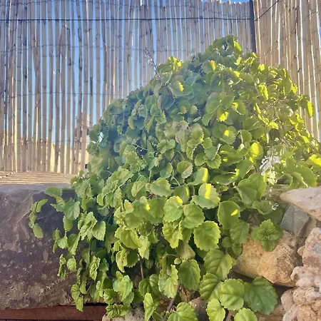 דירה Casita De La Era - Terrace & Bbq - Rural Setting